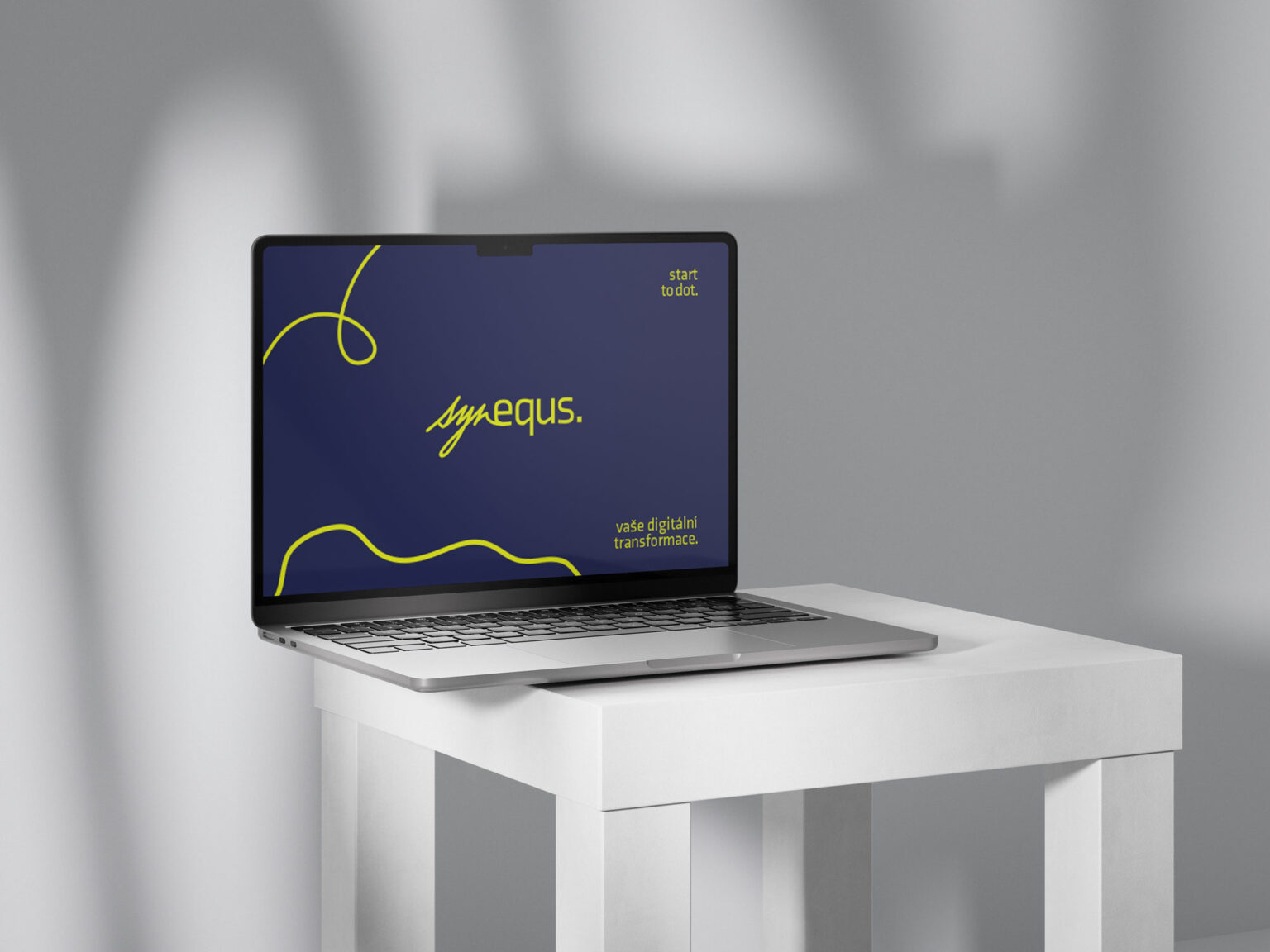 Vizuální styl Synequs - Grafický design Andrea Houšková